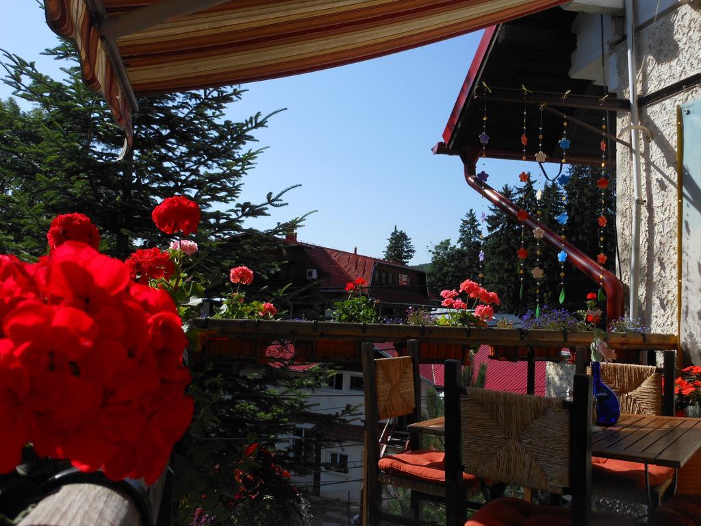 Bistro-Pension La Teleferic Sinaia Extérieur photo