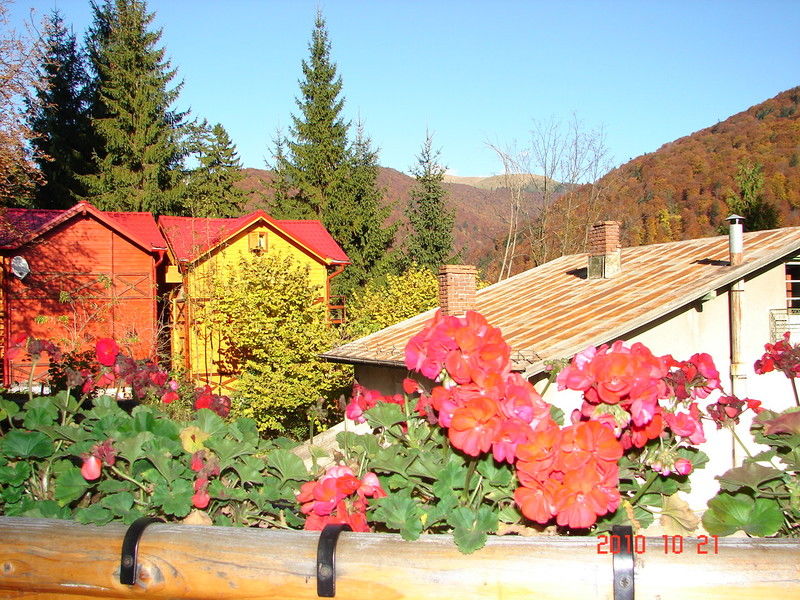 Bistro-Pension La Teleferic Sinaia Extérieur photo