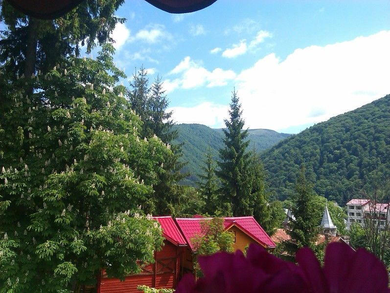 Bistro-Pension La Teleferic Sinaia Extérieur photo