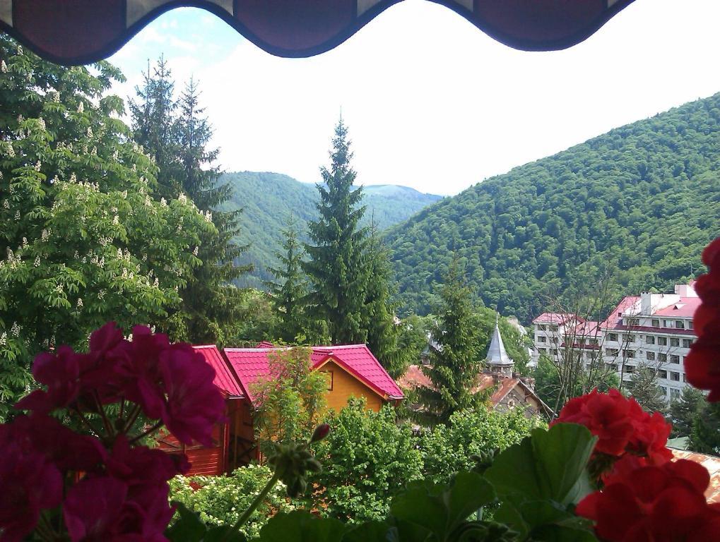 Bistro-Pension La Teleferic Sinaia Extérieur photo