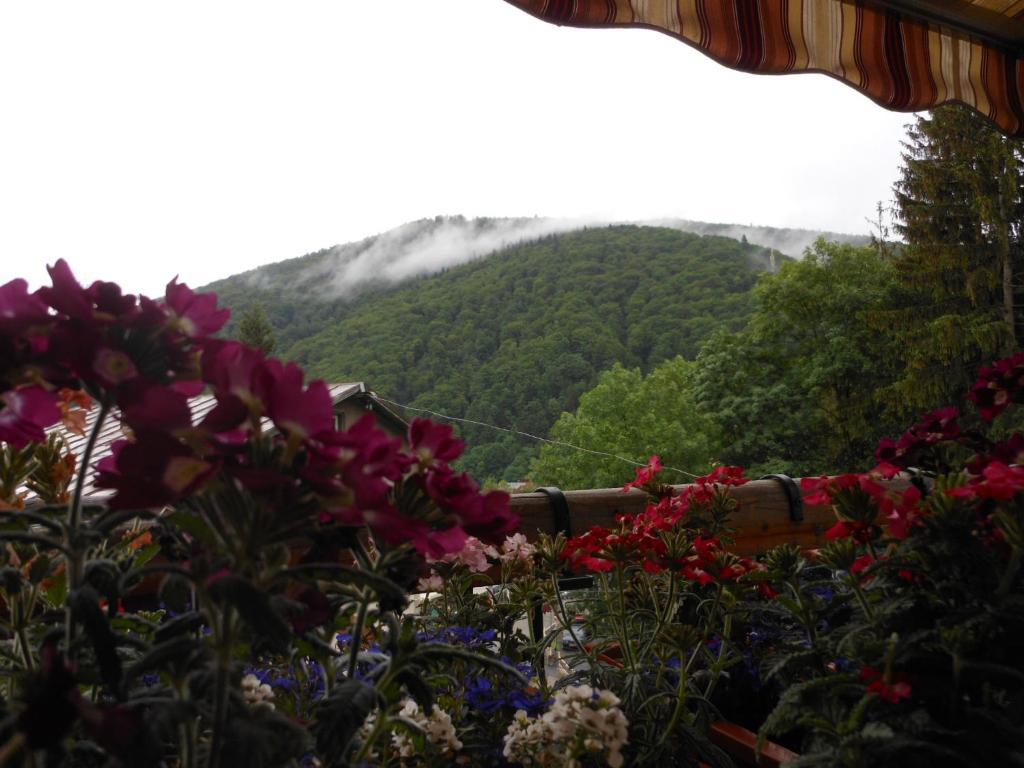 Bistro-Pension La Teleferic Sinaia Extérieur photo